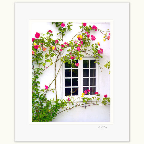 04b-439 Rose Window-tpx