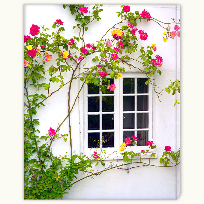 07a-439 Rose Window-cwx